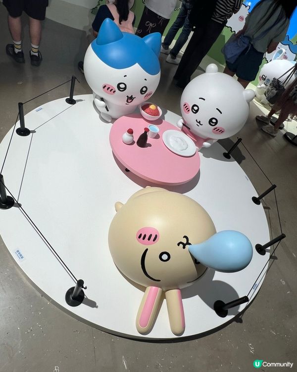 搶飛成功！小可愛展覽夢幻之旅😍！ #暑假 #Chiikawa