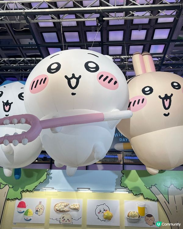 搶飛成功！小可愛展覽夢幻之旅😍！ #暑假 #Chiikawa