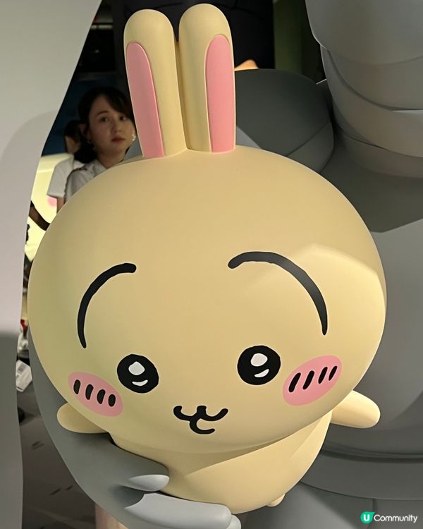 搶飛成功！小可愛展覽夢幻之旅😍！ #暑假 #Chiikawa