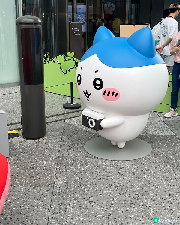 搶飛成功！小可愛展覽夢幻之旅😍！ #暑假 #Chiikawa