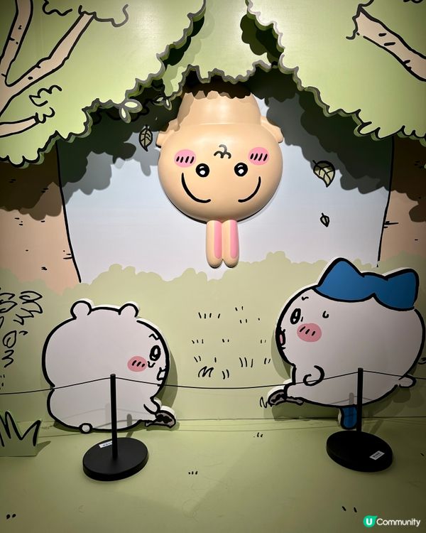 🩵Chiikawa Days展覽!🩵室內場景打卡篇📸