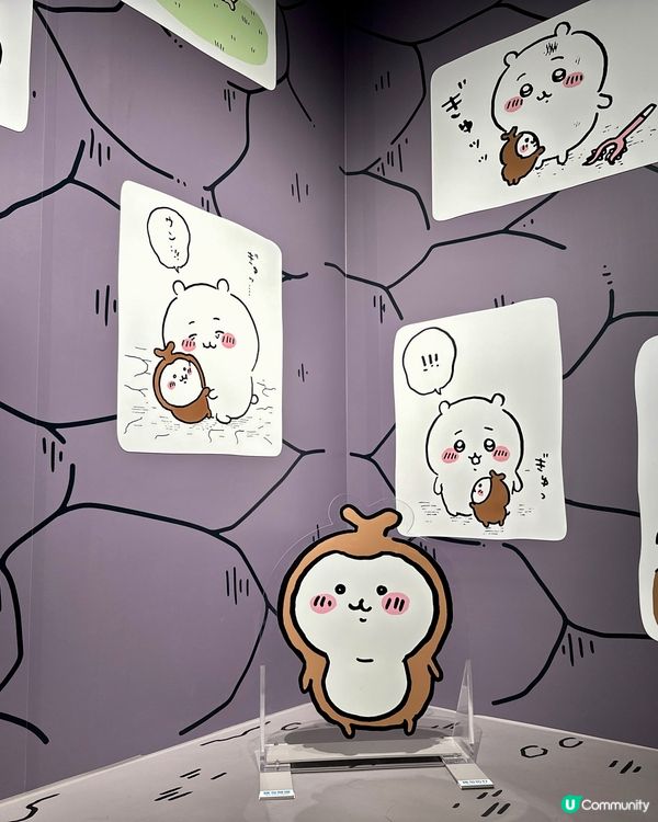 🩵Chiikawa Days展覽!🩵室內場景打卡篇📸