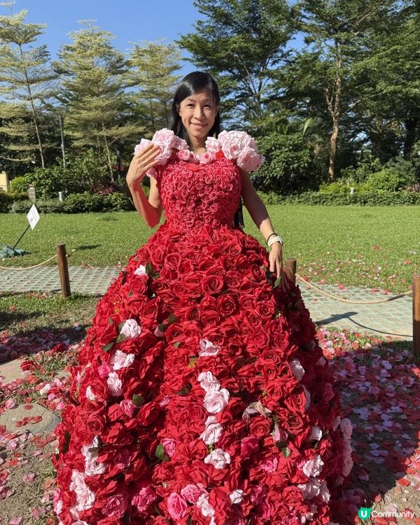 🌹🌹Rose Fantasia盛夏玫瑰奇緣🌹🌹