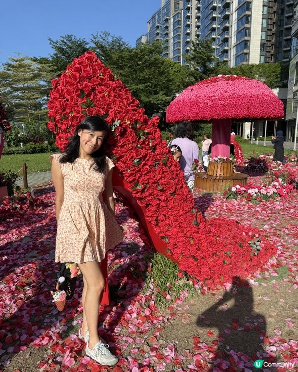 🌹🌹Rose Fantasia盛夏玫瑰奇緣🌹🌹