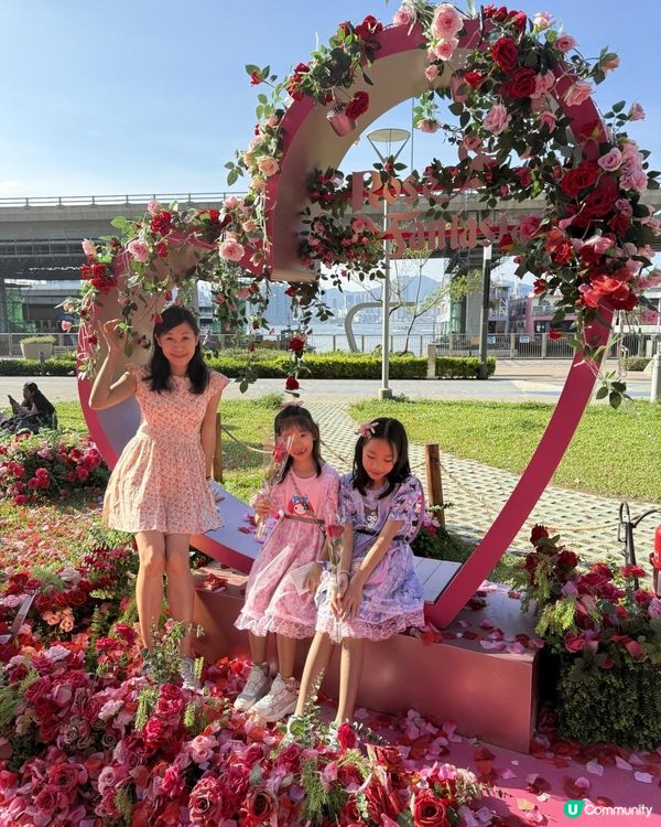 🌹🌹Rose Fantasia盛夏玫瑰奇緣🌹🌹