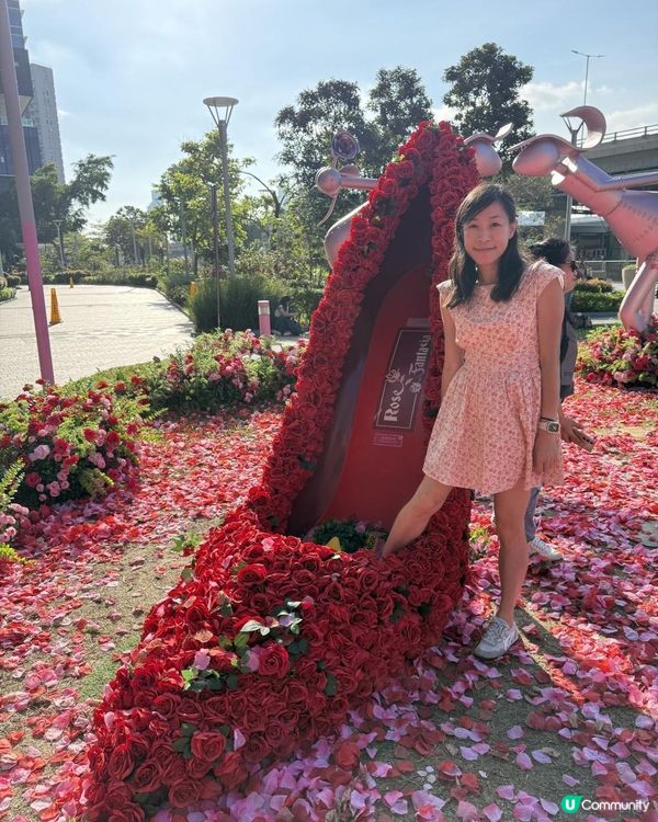 🌹🌹Rose Fantasia盛夏玫瑰奇緣🌹🌹