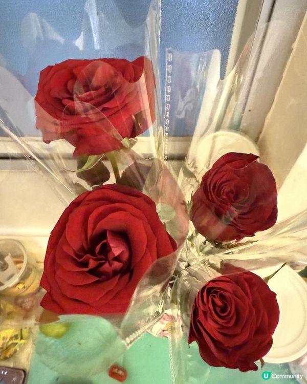 🌹🌹Rose Fantasia盛夏玫瑰奇緣🌹🌹