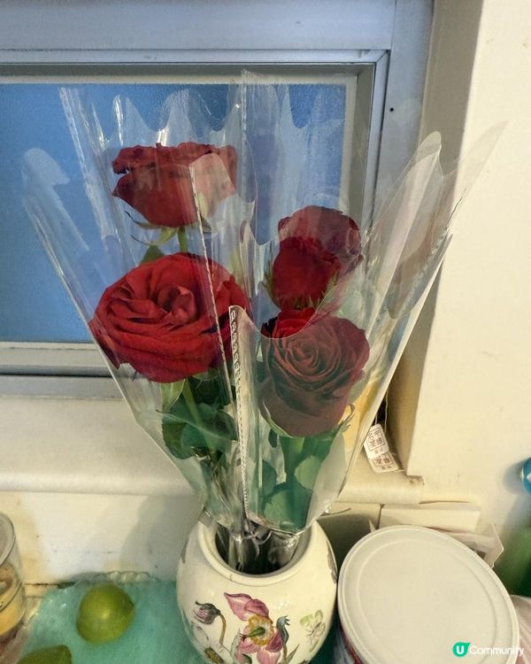 🌹🌹Rose Fantasia盛夏玫瑰奇緣🌹🌹