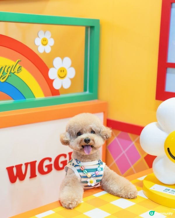  💛🧡𝓦𝓲𝓰𝓰𝓵𝓮 𝓦𝓲𝓰𝓰𝓵𝓮 🌈