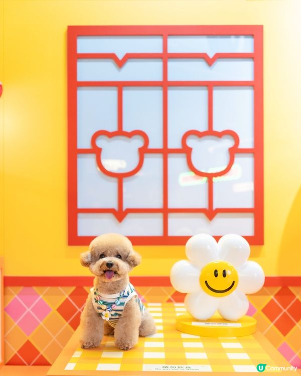  💛🧡𝓦𝓲𝓰𝓰𝓵𝓮 𝓦𝓲𝓰𝓰𝓵𝓮 🌈