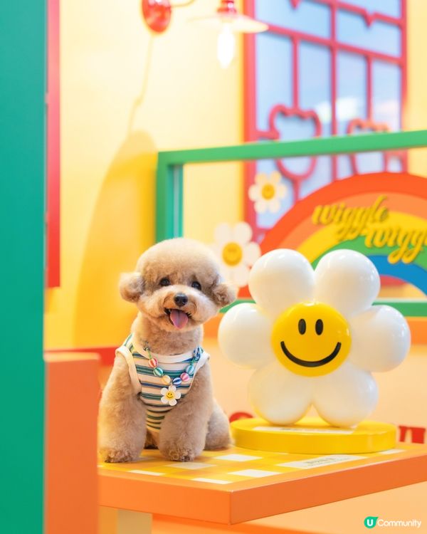  💛🧡𝓦𝓲𝓰𝓰𝓵𝓮 𝓦𝓲𝓰𝓰𝓵𝓮 🌈