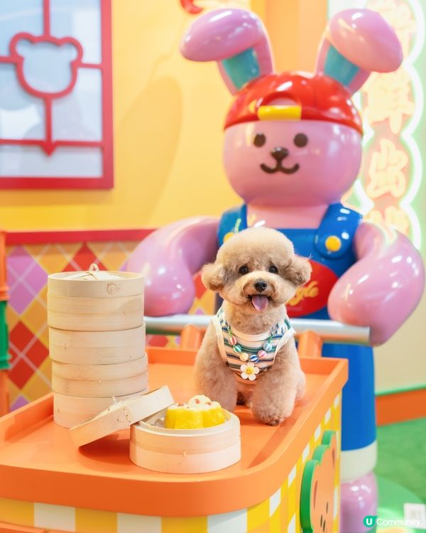  🌈 𝓦𝓲𝓰𝓰𝓵𝓮 𝓦𝓲𝓰𝓰𝓵𝓮🧸💛🧡