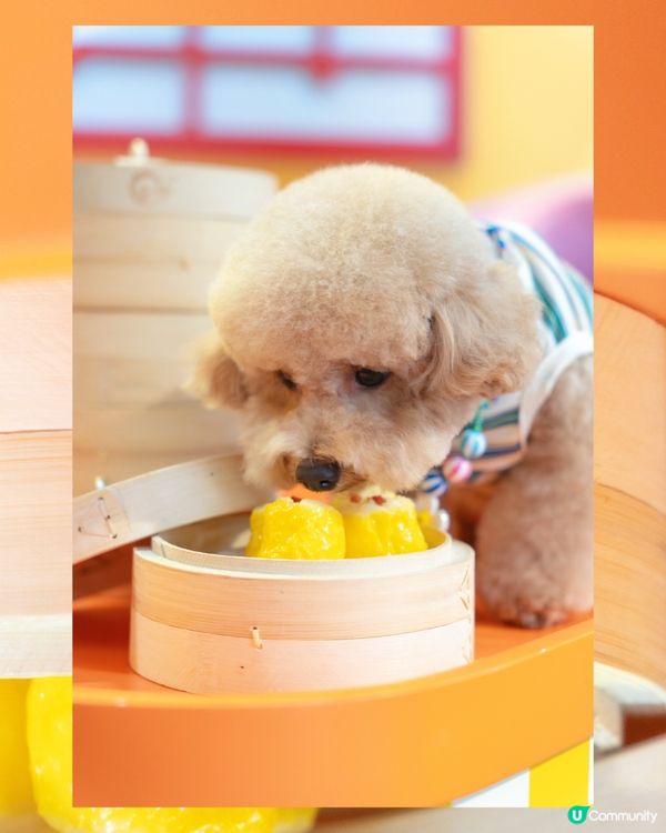  🌈 𝓦𝓲𝓰𝓰𝓵𝓮 𝓦𝓲𝓰𝓰𝓵𝓮🧸💛🧡