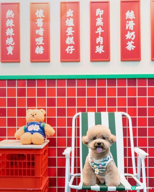  🌈 𝓦𝓲𝓰𝓰𝓵𝓮 𝓦𝓲𝓰𝓰𝓵𝓮🧸💛🧡