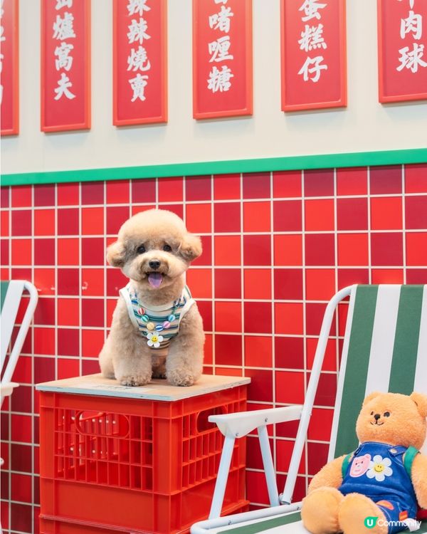  🌈 𝓦𝓲𝓰𝓰𝓵𝓮 𝓦𝓲𝓰𝓰𝓵𝓮🧸💛🧡