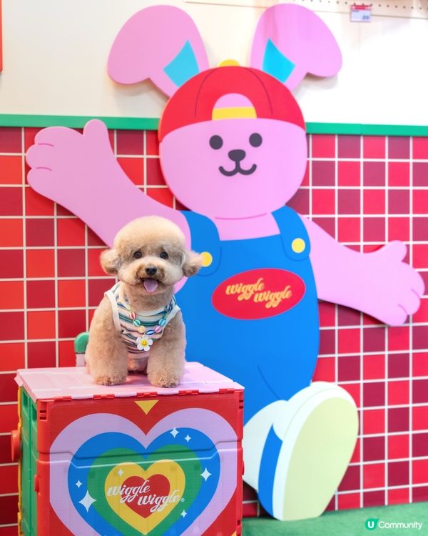  🌈 𝓦𝓲𝓰𝓰𝓵𝓮 𝓦𝓲𝓰𝓰𝓵𝓮🧸💛🧡