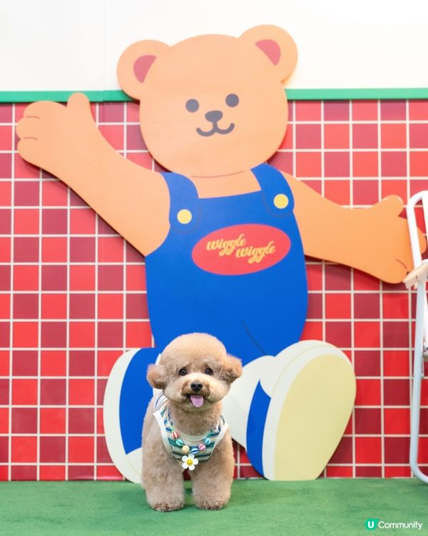  🌈 𝓦𝓲𝓰𝓰𝓵𝓮 𝓦𝓲𝓰𝓰𝓵𝓮🧸💛🧡