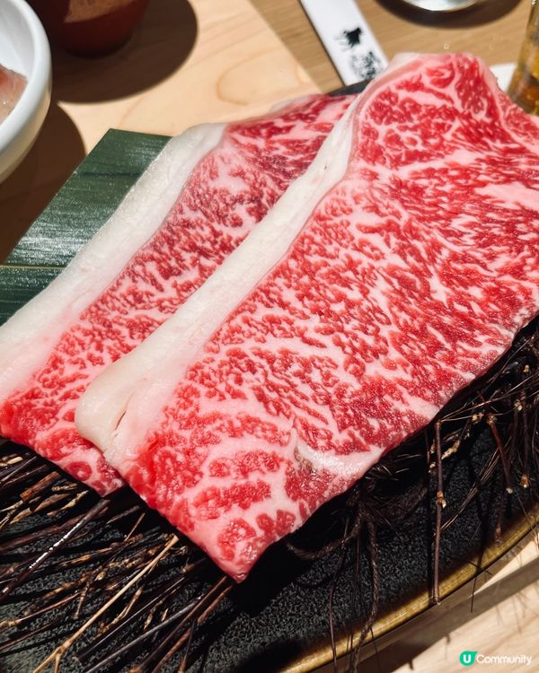 沙田全新和牛料理專門店！$38起試黑毛和牛料理/一人燒肉套餐/七道菜和牛套餐