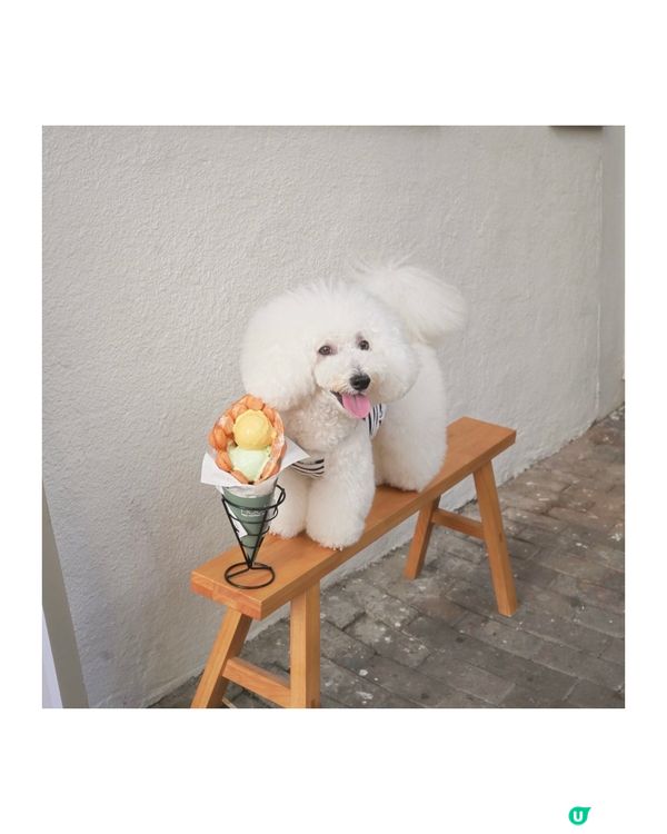 堅尼地城新蒲點 意式雪糕專門店😋 