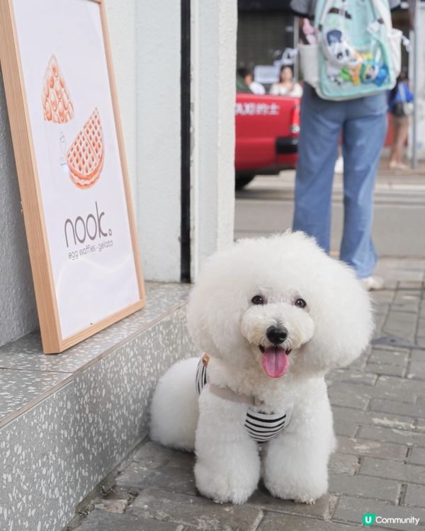 堅尼地城新蒲點 意式雪糕專門店😋 