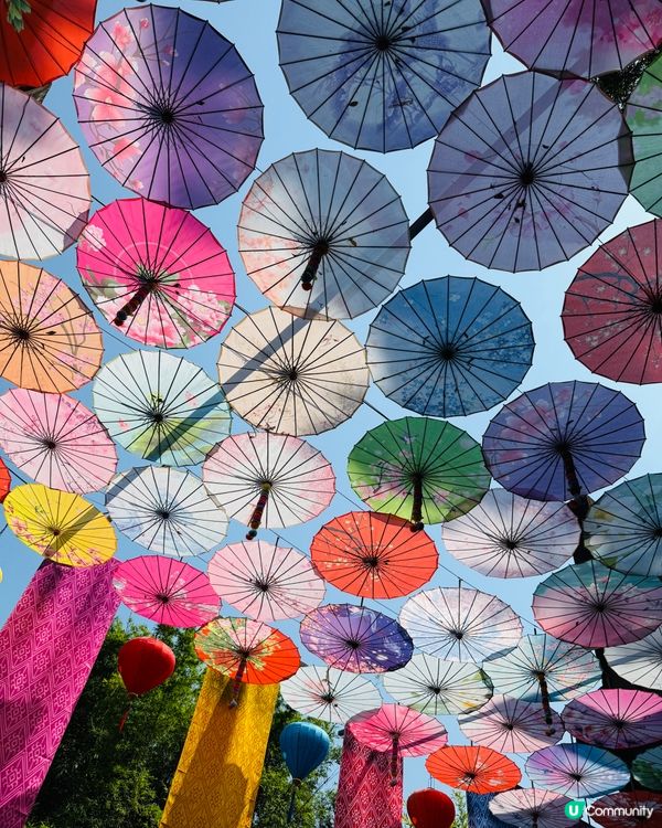 深圳潑水節💦！濕身狂歡等你嚟！🥳