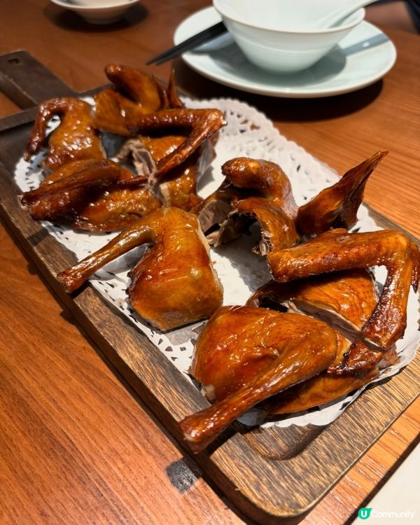 🕊 金光鴿王｜脆皮乳鴿香爆登場！