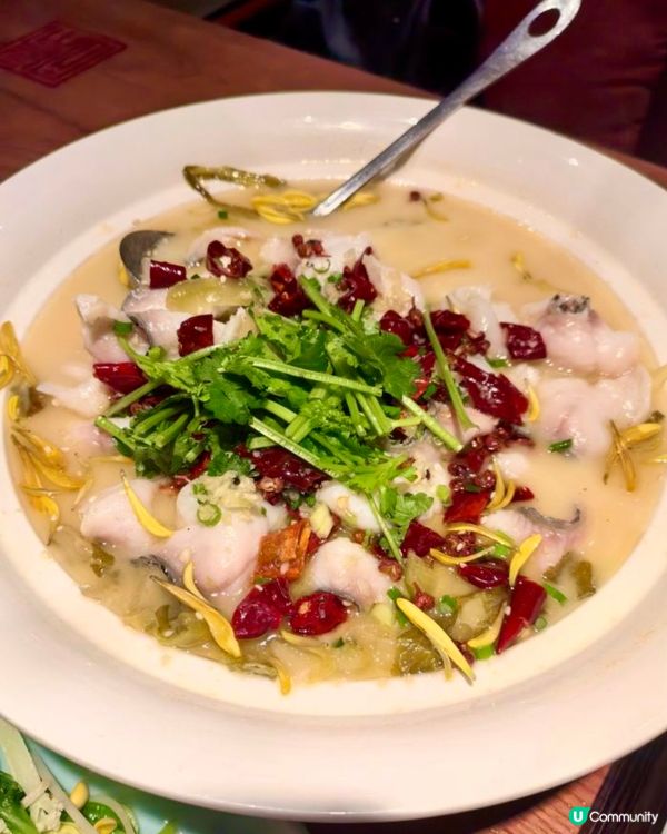 🕊 金光鴿王｜脆皮乳鴿香爆登場！