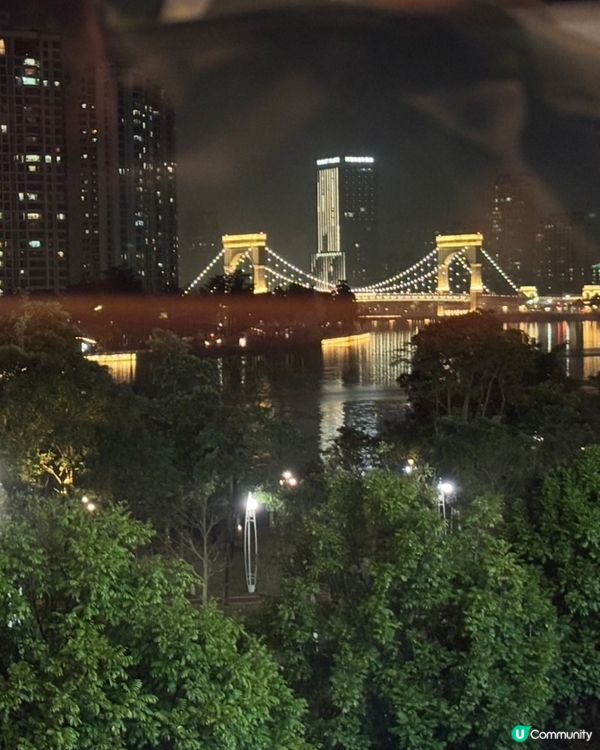 🕊 金光鴿王｜脆皮乳鴿香爆登場！