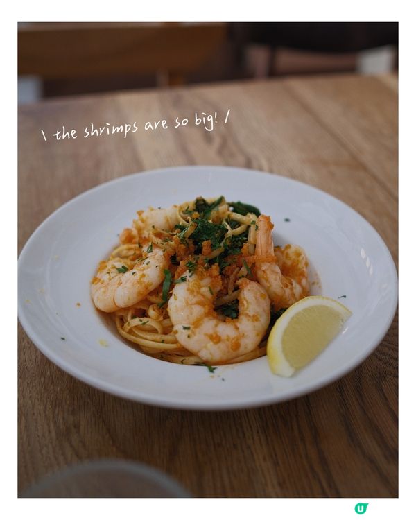 香港大學附近高質的啡店 | 廿一由八 🌱