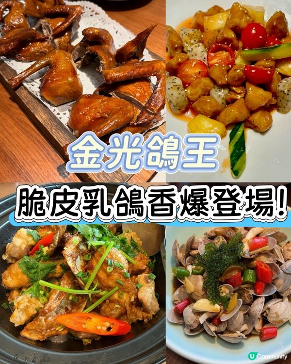 🕊 金光鴿王｜脆皮乳鴿香爆登場！