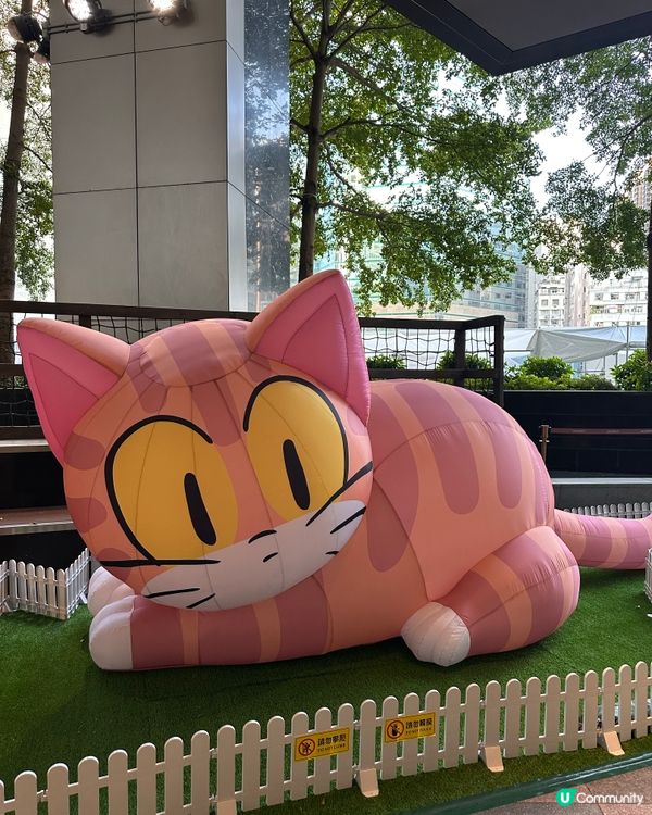 【免費打卡】Mamuang芒果妹首度襲港 @希慎廣場