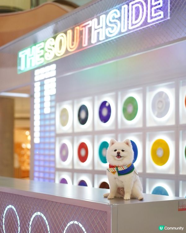 💿夏日好去處𝗧𝗛𝗘 𝗦𝗢𝗨𝗧𝗛𝗦𝗜𝗗𝗘🪩