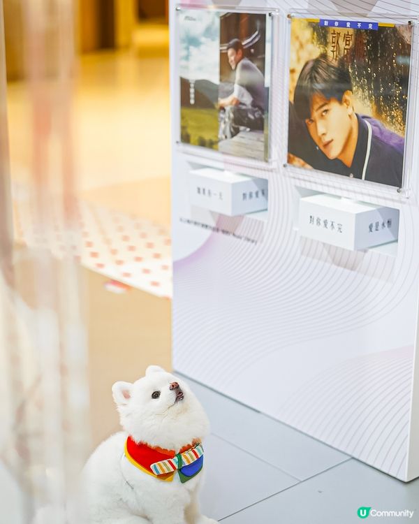 💿夏日好去處𝗧𝗛𝗘 𝗦𝗢𝗨𝗧𝗛𝗦𝗜𝗗𝗘🪩