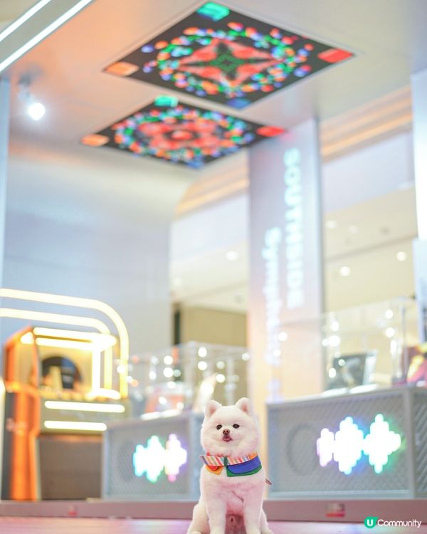 💿夏日好去處𝗧𝗛𝗘 𝗦𝗢𝗨𝗧𝗛𝗦𝗜𝗗𝗘🪩