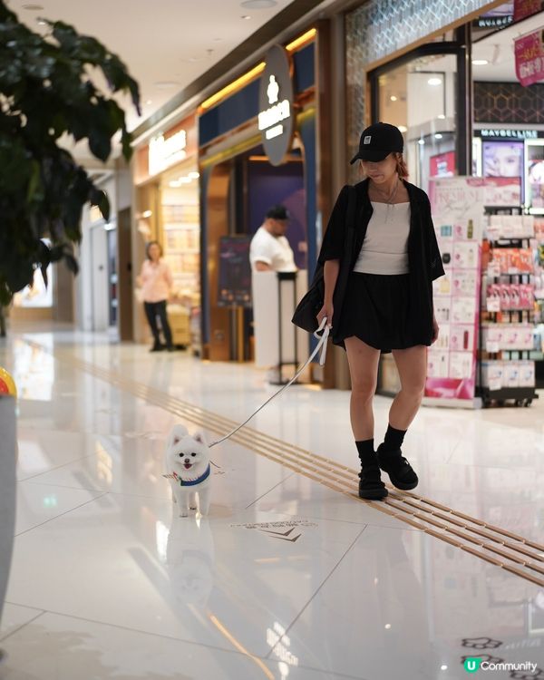 💿夏日好去處𝗧𝗛𝗘 𝗦𝗢𝗨𝗧𝗛𝗦𝗜𝗗𝗘🪩