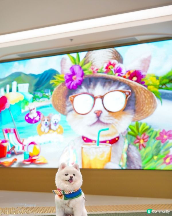 💿夏日好去處𝗧𝗛𝗘 𝗦𝗢𝗨𝗧𝗛𝗦𝗜𝗗𝗘🪩