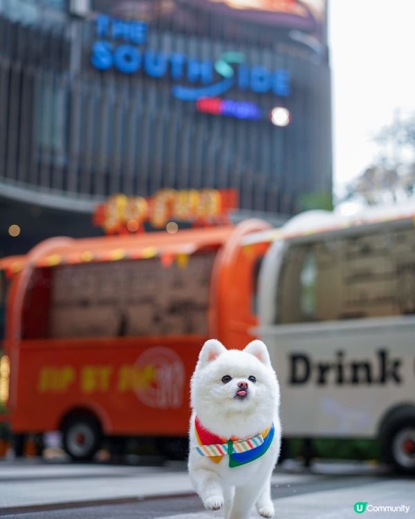 💿夏日好去處𝗧𝗛𝗘 𝗦𝗢𝗨𝗧𝗛𝗦𝗜𝗗𝗘🪩