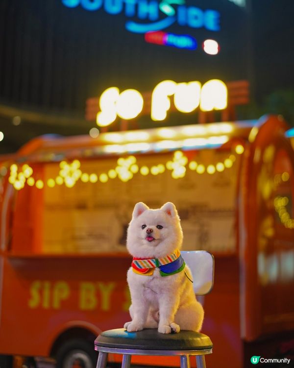 💿夏日好去處𝗧𝗛𝗘 𝗦𝗢𝗨𝗧𝗛𝗦𝗜𝗗𝗘🪩