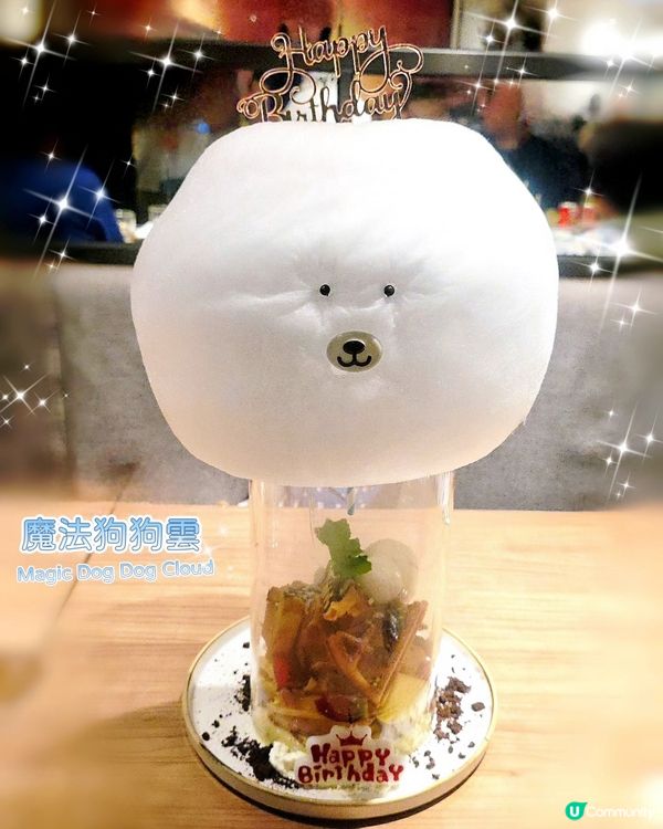 魔法狗狗雲☁️生日驚喜！🎂🎉