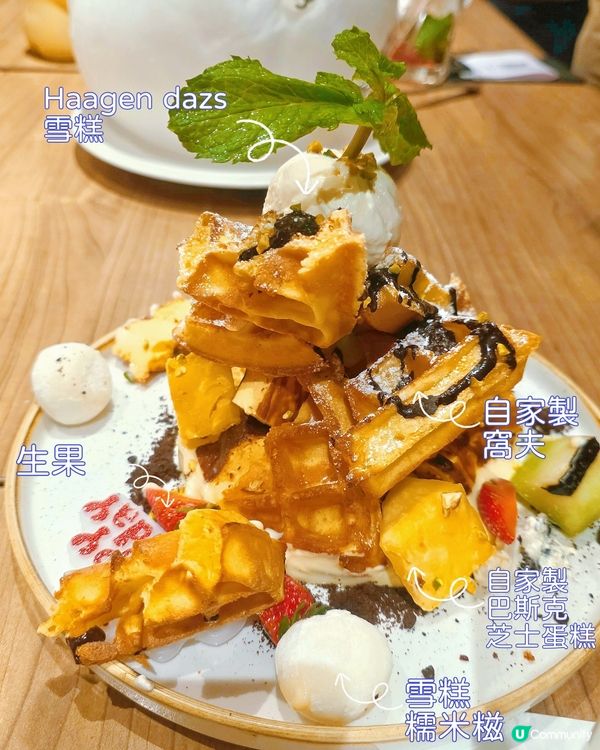 魔法狗狗雲☁️生日驚喜！🎂🎉