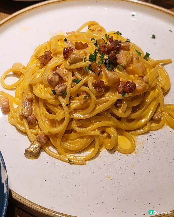 魔法狗狗雲☁️生日驚喜！🎂🎉