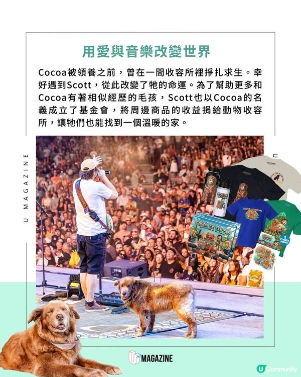 雷鬼樂團最chill的狗成員！ 巡演走遍各地！最穩的「C位」非牠莫屬