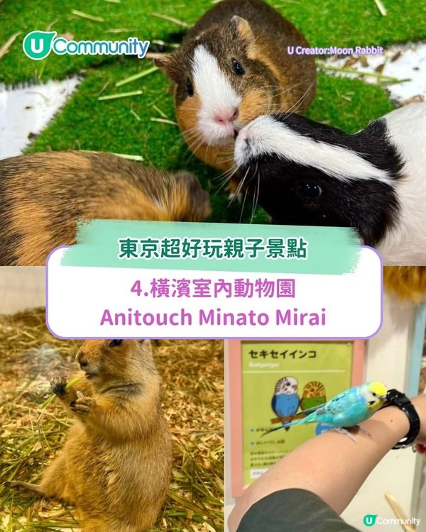 東京超好玩親子景點5選 帶小朋友去KidZania職業體驗／近郊牧場動物互動！