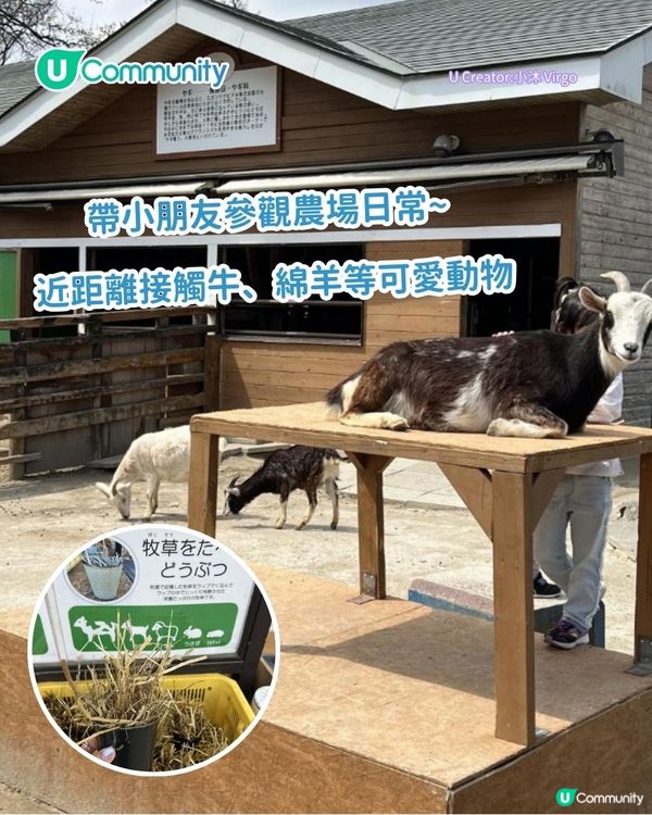 東京超好玩親子景點5選 帶小朋友去KidZania職業體驗／近郊牧場動物互動！