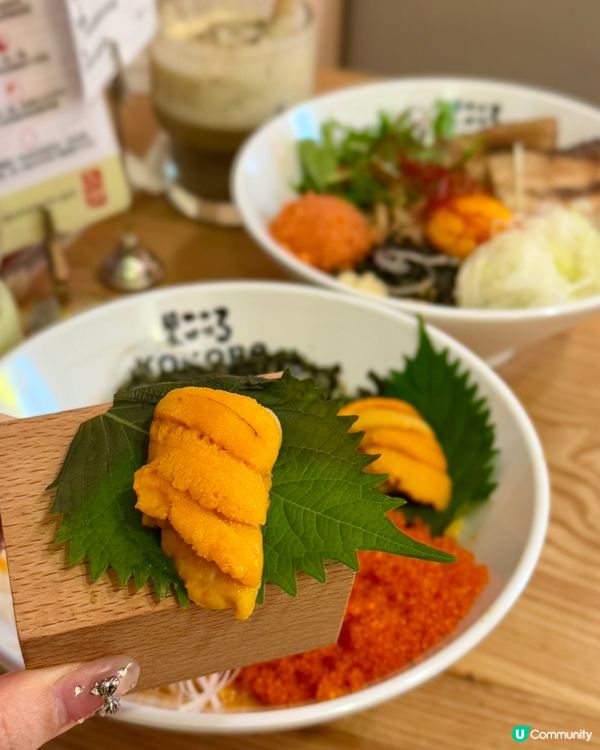 季節限定海膽濃湯系列 100%新鮮空運海膽🧡🧡