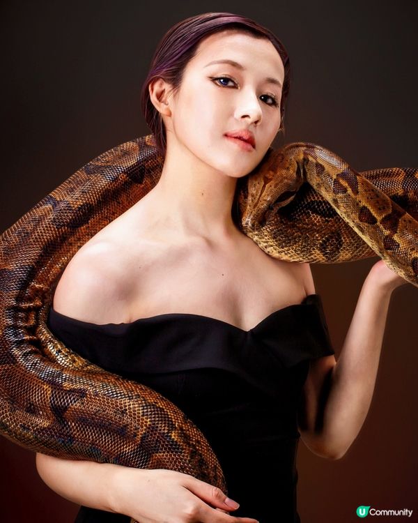 遇見大蛇蛇🐍🐍-「紅尾蚺拍攝」