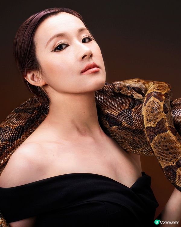 遇見大蛇蛇🐍🐍-「紅尾蚺拍攝」