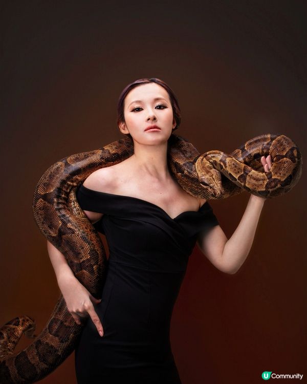 遇見大蛇蛇🐍🐍-「紅尾蚺拍攝」