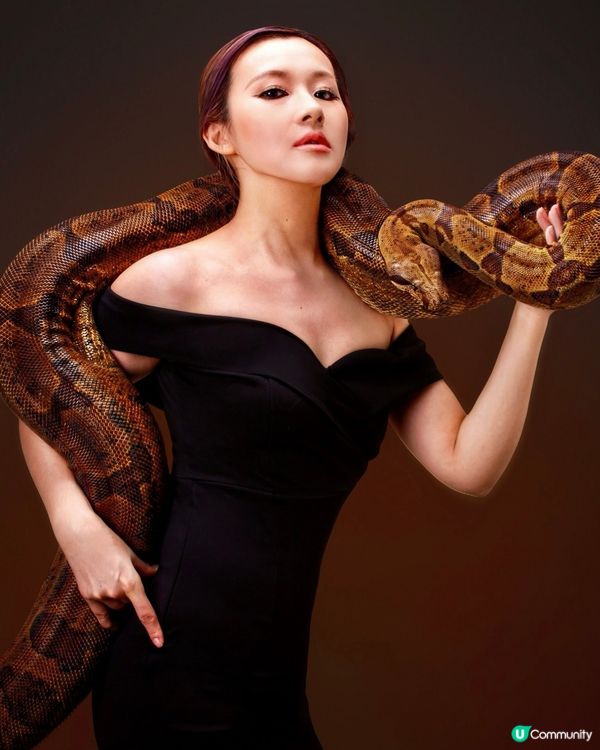 遇見大蛇蛇🐍🐍-「紅尾蚺拍攝」