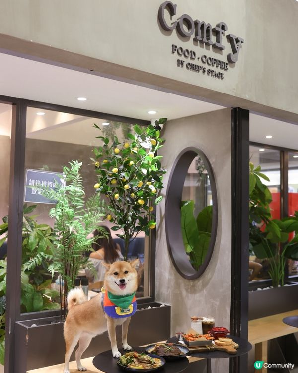 觀塘寵物友善餐廳😍